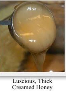 Honey - Creamed (LOCAL)